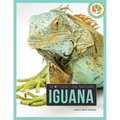 Iguana