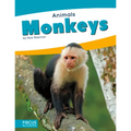 Monkeys