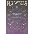 Babes in the Darkling Wood - A Novel of Ideas