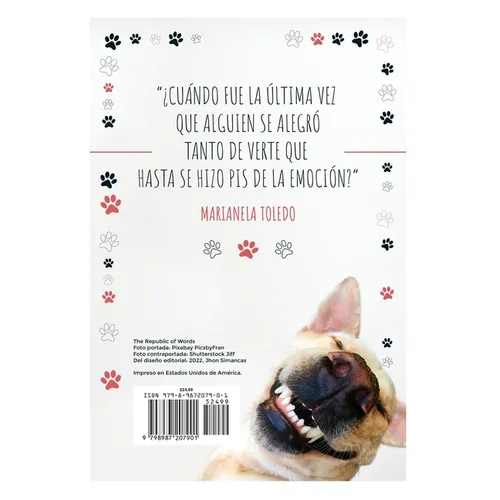 50 Cosas que nos enseñan los perros