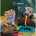 Gecko or Komodo Dragon (Wild World: Pets and Wild Animals)