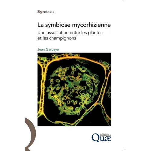 La symbiose mycorhizienne: Une association entre les plantes et les champignons.