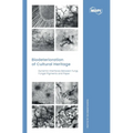 Biodeterioration of Cultural Heritage: Dynamic Interfaces between Fungi, Fungal Pigments and Paper