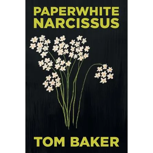 Paperwhite Narcissus