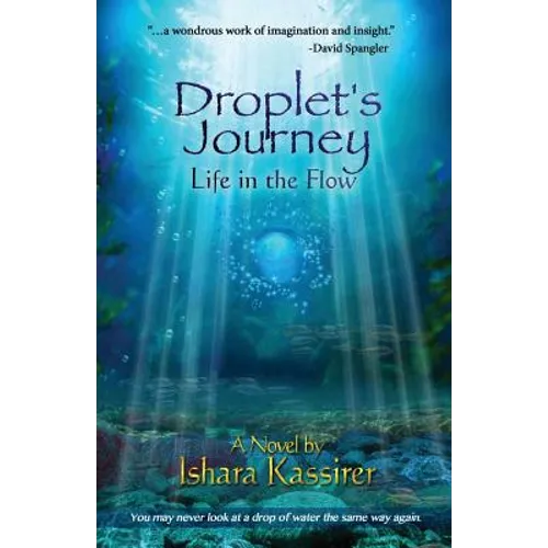 Droplet's Journey: Life in the Flow
