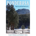 Ponderosa