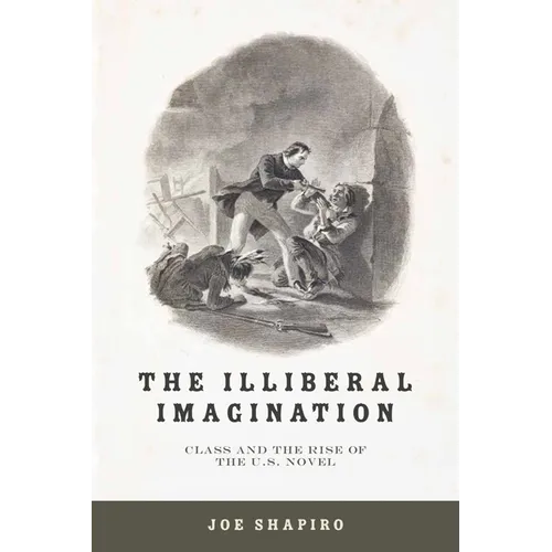 The Illiberal Imagination: Class and the Rise of the U.S. Novel