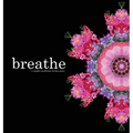 breathe: a simple meditation
