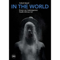 In the World: Essays on Contemporary South African Art