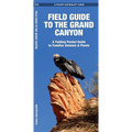 Grand Canyon, Field Guide to The, 2nd Ed: A Folding Pocket Guide to Familiar Animals & Plants