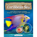 Incredible Creatures of the Caribbean Sea: Learn about Animals Including Octopuses, Stingrays, Eels, and Triggerfish!