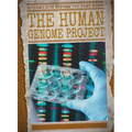 The Human Genome Project