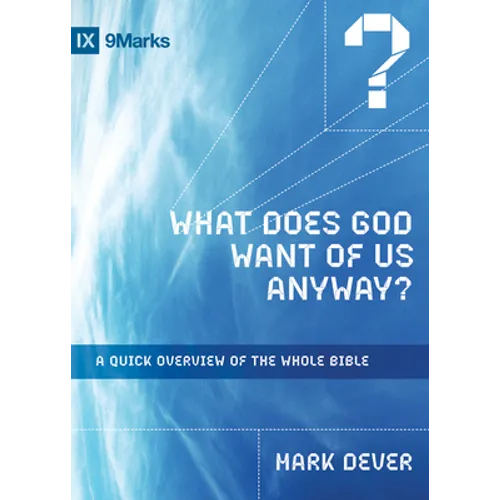What Does God Want of Us Anyway?: A Quick Overview of the Whole Bible