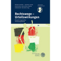 Rechtswege - Urteilswirkungen: Deutsch-Ungarischer Verfassungsdialog