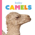 Baby Camels