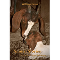 Animal Stories: Lives at a Farm Sanctuary