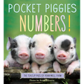 Pocket Piggies Numbers!: Featuring the Teacup Pigs of Pennywell Farm