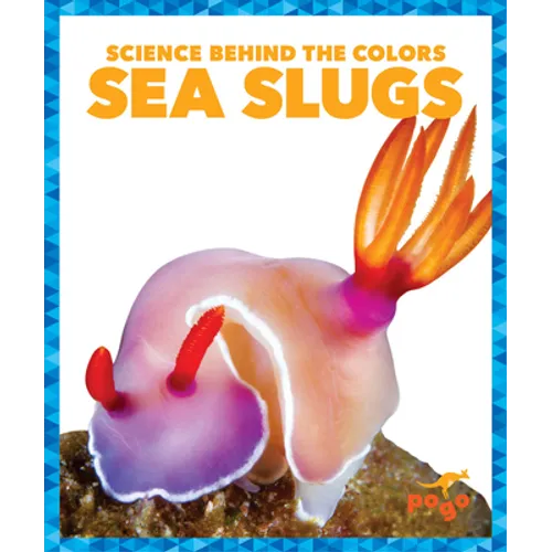 Sea Slugs