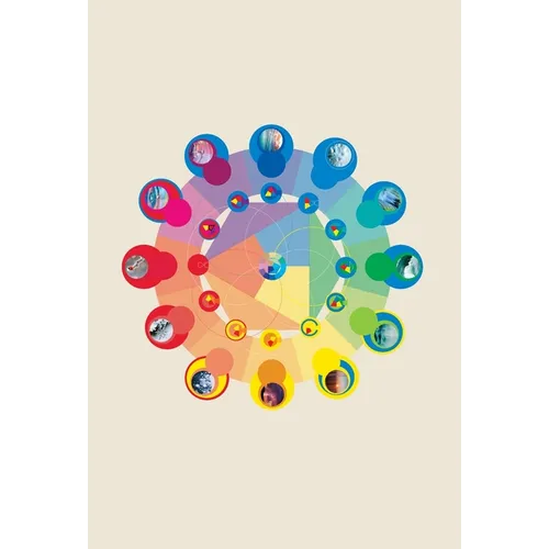 The Neurobiology of Connection: Re-Wilding Your Deep Nervous System for Wellbeing