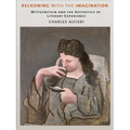 Reckoning with the Imagination: Wittgenstein and the Aesthetics of Literary Experience