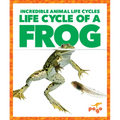 Life Cycle of a Frog