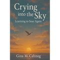 Crying into the Sky: Learning to Soar Again