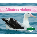 Albatros Viajero (Wandering Albatross)