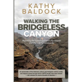 Walking the Bridgeless Canyon: Repairing the Breach between the Church and the LGBTQ Community
