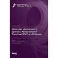 Molecular Mechanism in Epithelial-Mesenchymal Transition (EMT) and Fibrosis