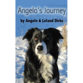 Angelo's Journey: A Border Collie's Quest for Home
