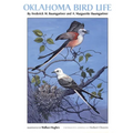 Oklahoma Bird Life