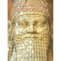 Life in Ancient Mesopotamia