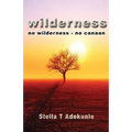Wilderness: no wilderness - no canaan