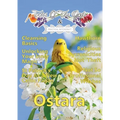TalesOfTheGods & Practical Witchcraft Ostara Edition 2022
