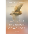 Wound Is the Origin of Wonder: Poems