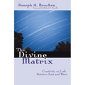 The Divine Matrix