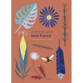 A Month with St Francis