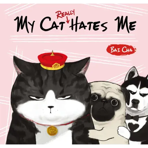 My Cat Really Hates Me