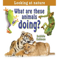 What Are These Animals Doing?