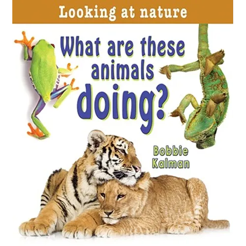 What Are These Animals Doing?