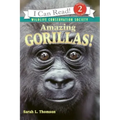 Amazing Gorillas!