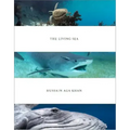 Hussain Aga Khan: The Living Sea