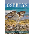 Ospreys: The Revival of a Global Raptor