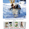 Enjoying the Clumber Spaniel: the Best from magazine Clumbers issues 122 - 125 (2011-2012) and even more!