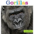 Seedlings: Gorillas