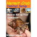Hermit Crab Habitat Setup: Hermit Crab care and Habitat Set-up
