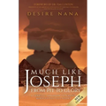 Much Like Joseph: From Pit to Glory