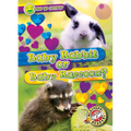 Baby Rabbit or Baby Raccoon?
