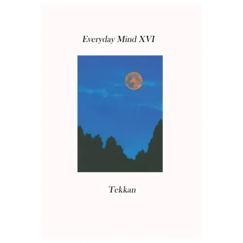 Everyday Mind XVI