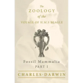Fossil Mammalia - Part I - The Zoology of the Voyage of H.M.S Beagle; Under the Command of Captain Fitzroy - During the Years 1832 to 1836